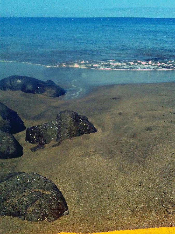 Apartamento A 1 Minuto De La Playa De Sardina ラスパルマス・デ・グランカナリア エクステリア 写真